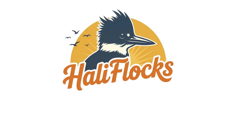 Haliflocks Bird Watching