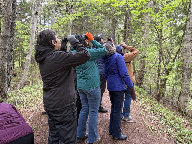 HaliFlocks birding photography