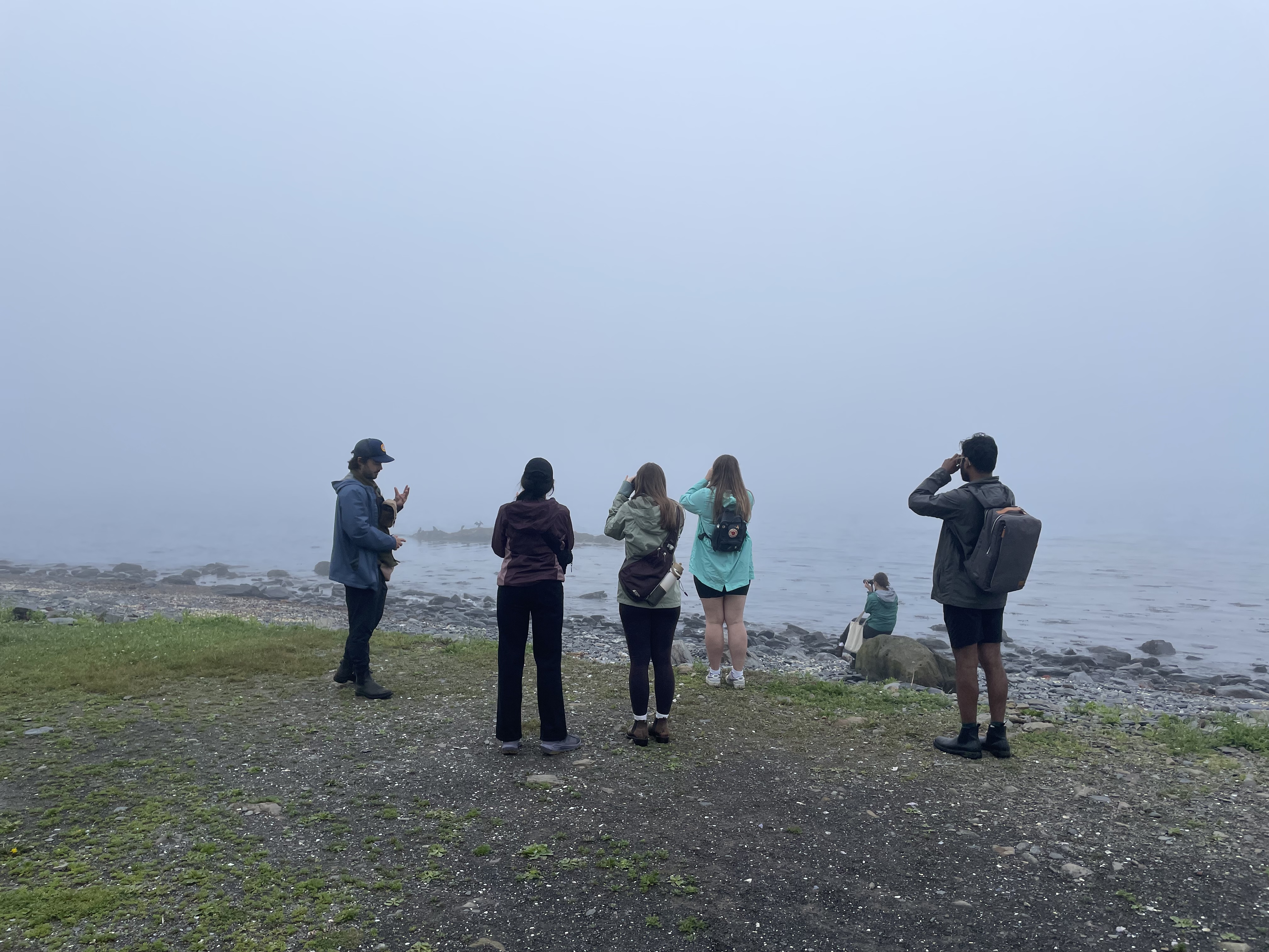 HaliFlocks birding photography