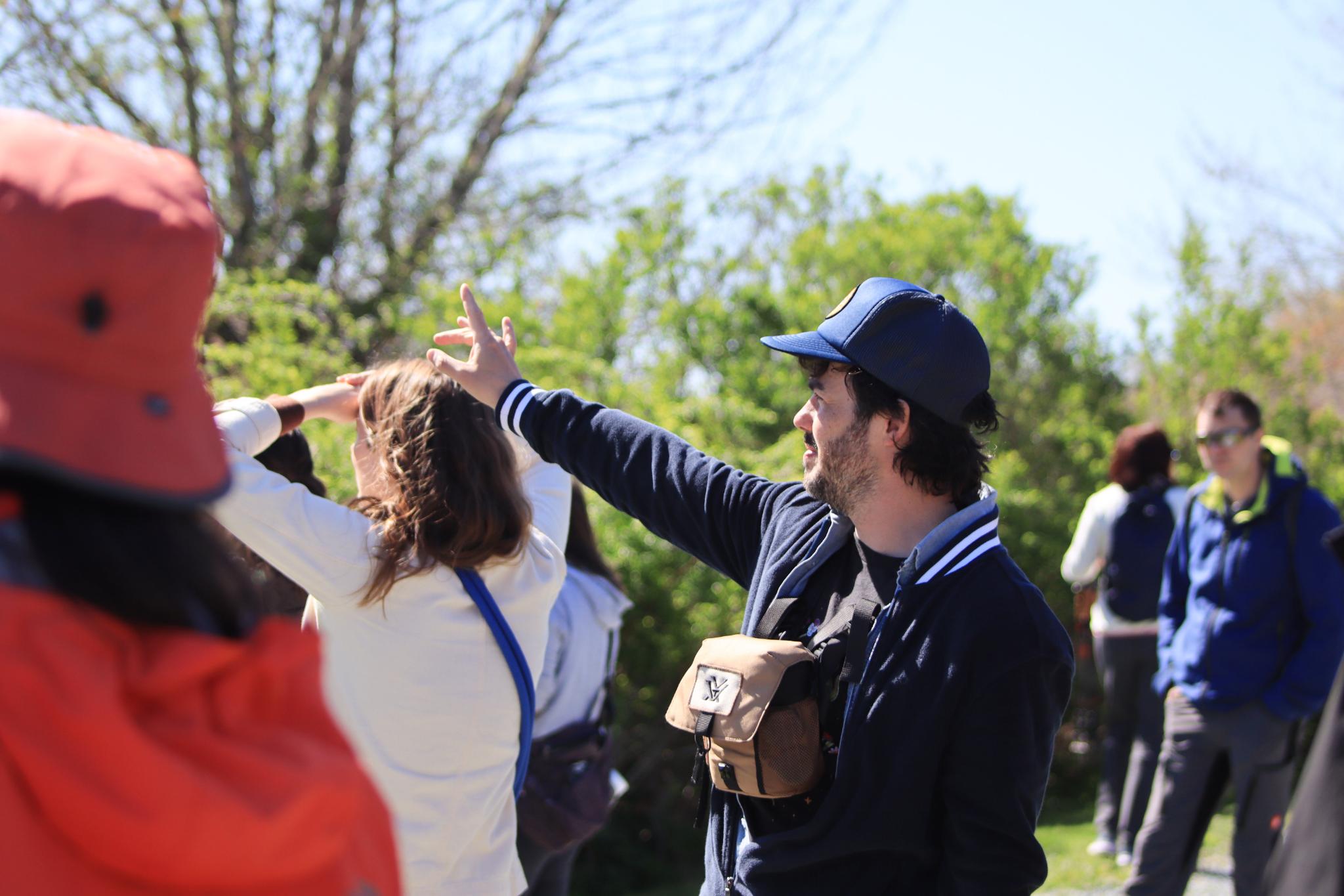 HaliFlocks birding photography